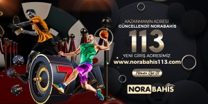113-1.jpg