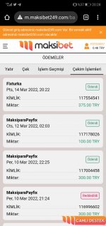 Screenshot_20220314_202805_com.android.chrome.jpg