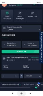 Screenshot_2022-08-13-03-56-00-873_com.android.chrome.jpg