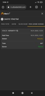 Screenshot_2023-01-18-13-04-33-976_com.android.chrome.jpg