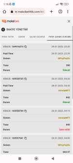 Screenshot_2023-01-30-01-15-26-439_com.android.chrome.jpg